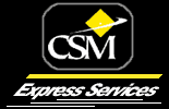 Online Express Services Logo